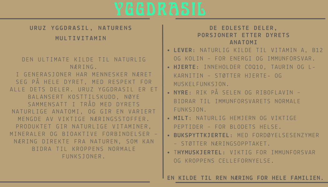 yggdrasil.1