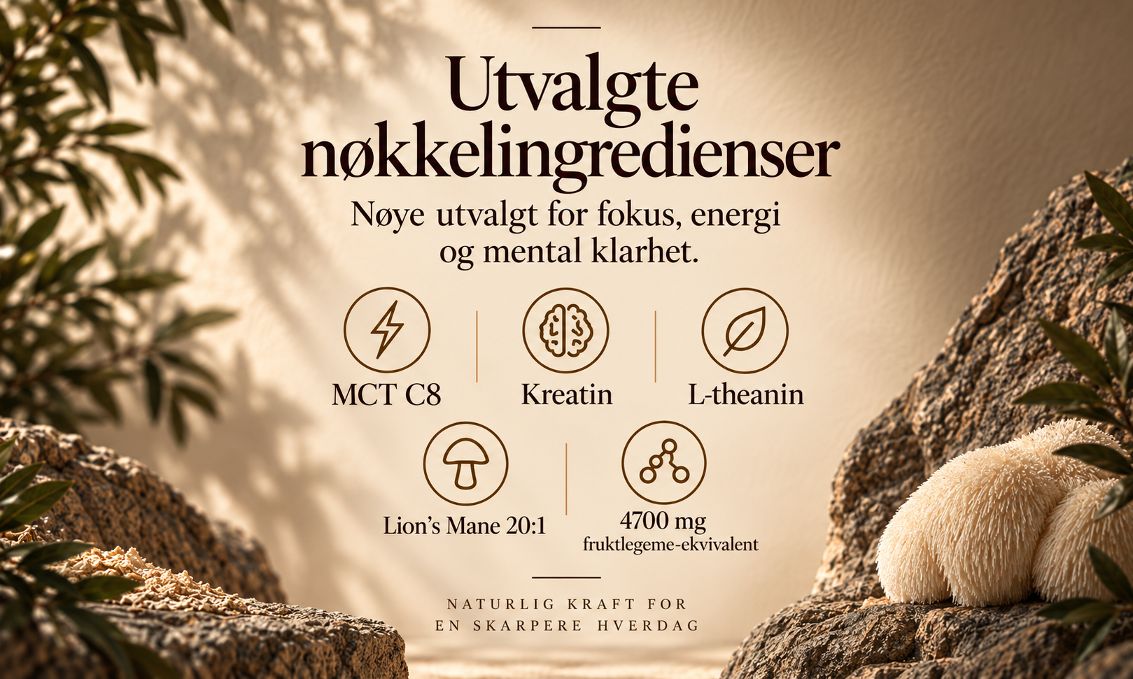 Ríse kaffekremer, lions mane mct-olje, kreatin, vitaminer