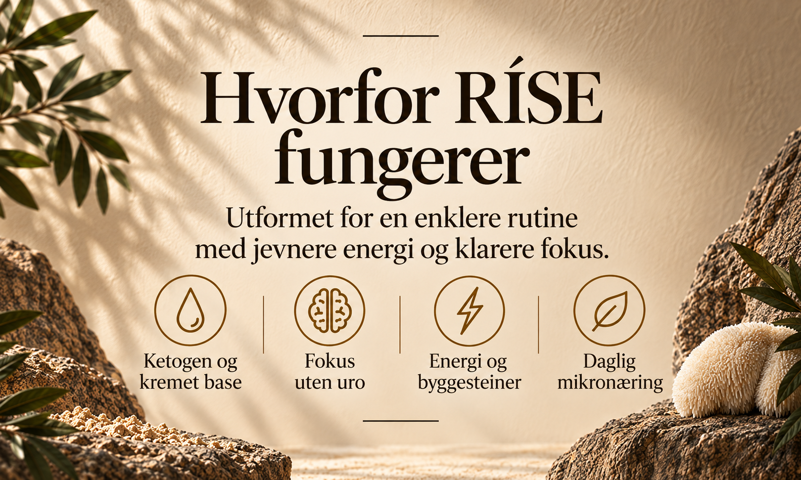 Ríse kaffekremer, lions mane mct-olje, kreatin, vitaminer