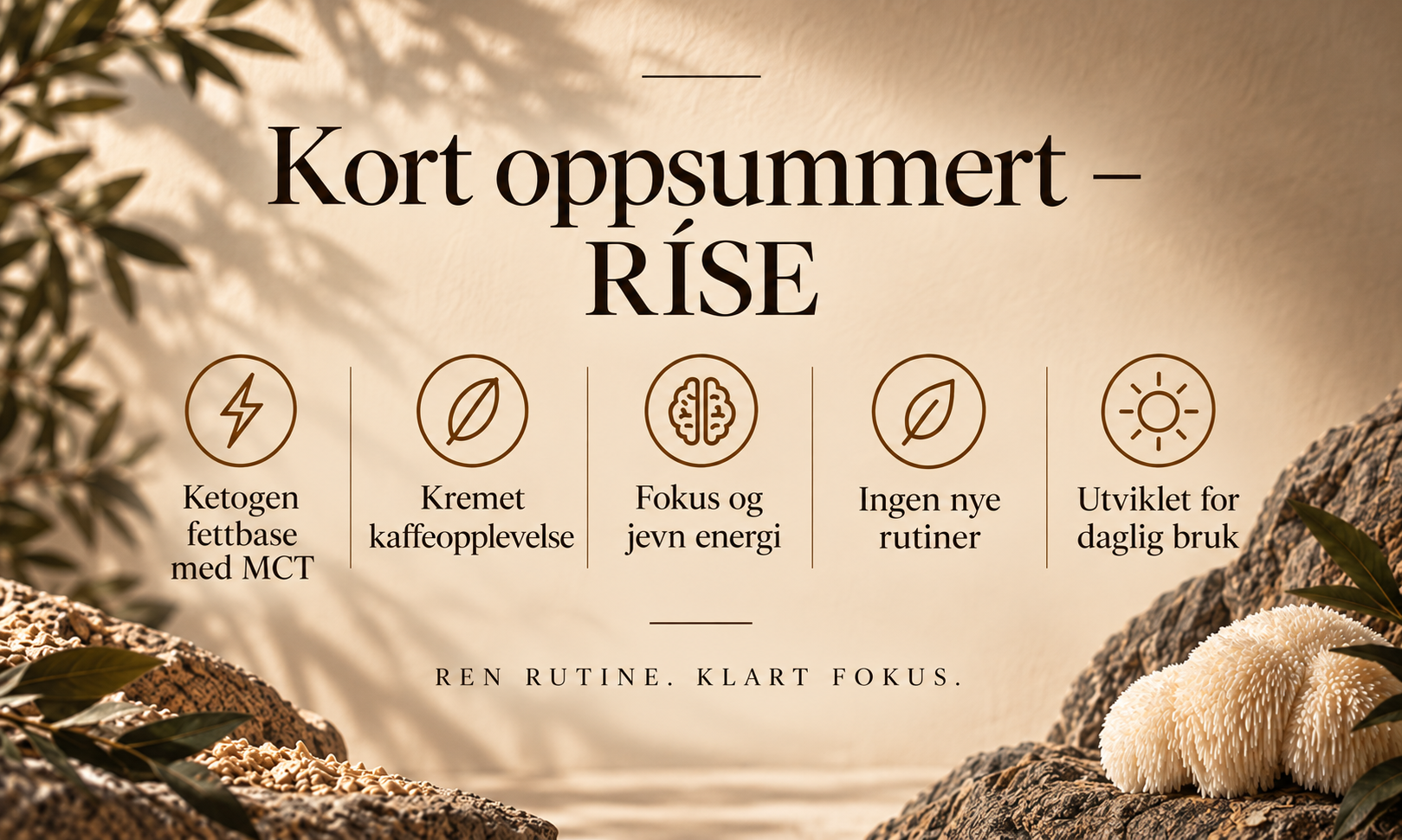 Ríse kaffekremer, lions mane mct-olje, kreatin, vitaminer